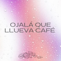 Ojalá Que Llueva Café (Radio Edit) - Single - Juan Luis Guerra