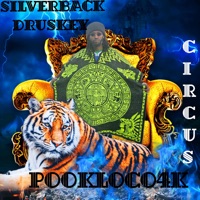 Circus (feat. PookLoco) - Single - SilverBack Druskey