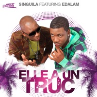 Elle a un truc (feat. Edalam) - Single - Singuila