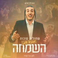 באה השמחה - Single - Shmulik Sukkot