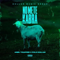 No mete Kabra (feat. ariel trapper & polo dollar) - Single - El Dollar Music