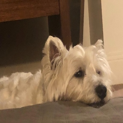 how to hate - Single