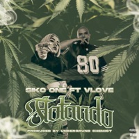 Flotando (feat. V Love) - Single - The Sikc One