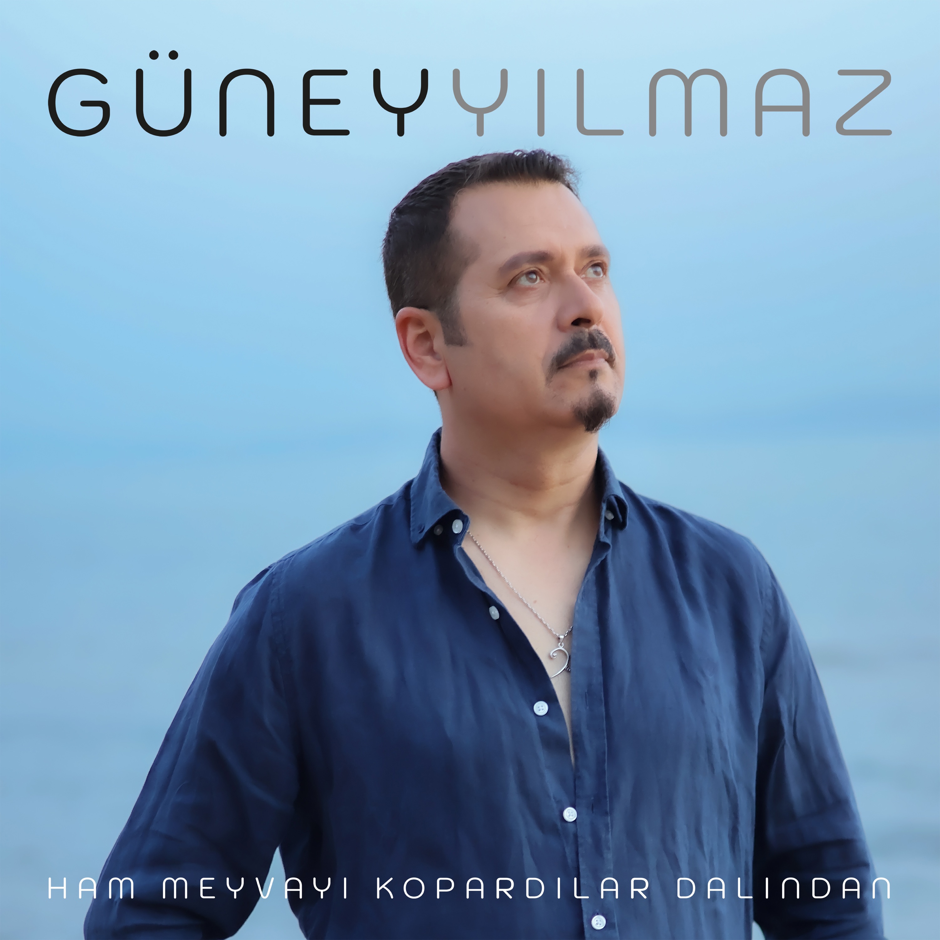Ham Meyvayı Kopardılar Dalından - Single
