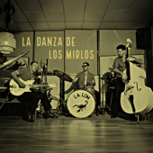 La Danza De Los Mirlos song art