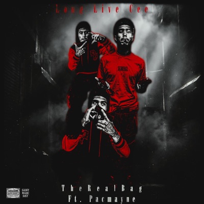 LLcee (feat. Pacmayne) - Single