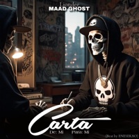 CARTA (de: mi para: mi) (feat. ENESEKAO) - Single - Liondee MAD Ghost