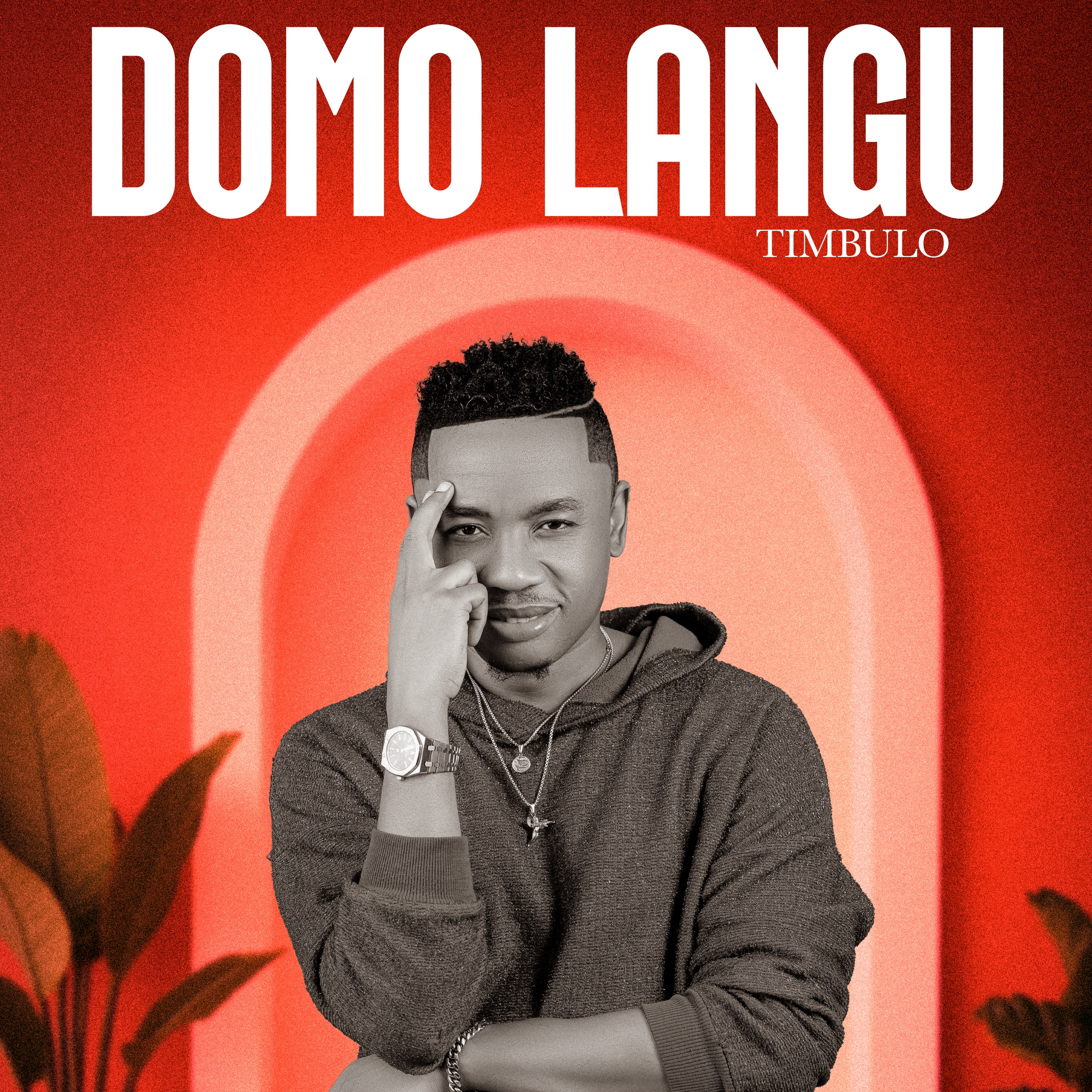 Domo Langu - Timbulo