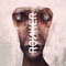 Shame - Ronker lyrics