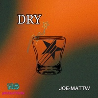 DRY (Platinum Version) - Single - Joe-Mattw