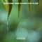 Raindrop Therapy Calming Nature Sounds - Athenora lyrics