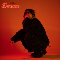 DREAM - Single - Aneea