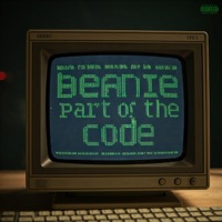 part of the code - Single - beanie