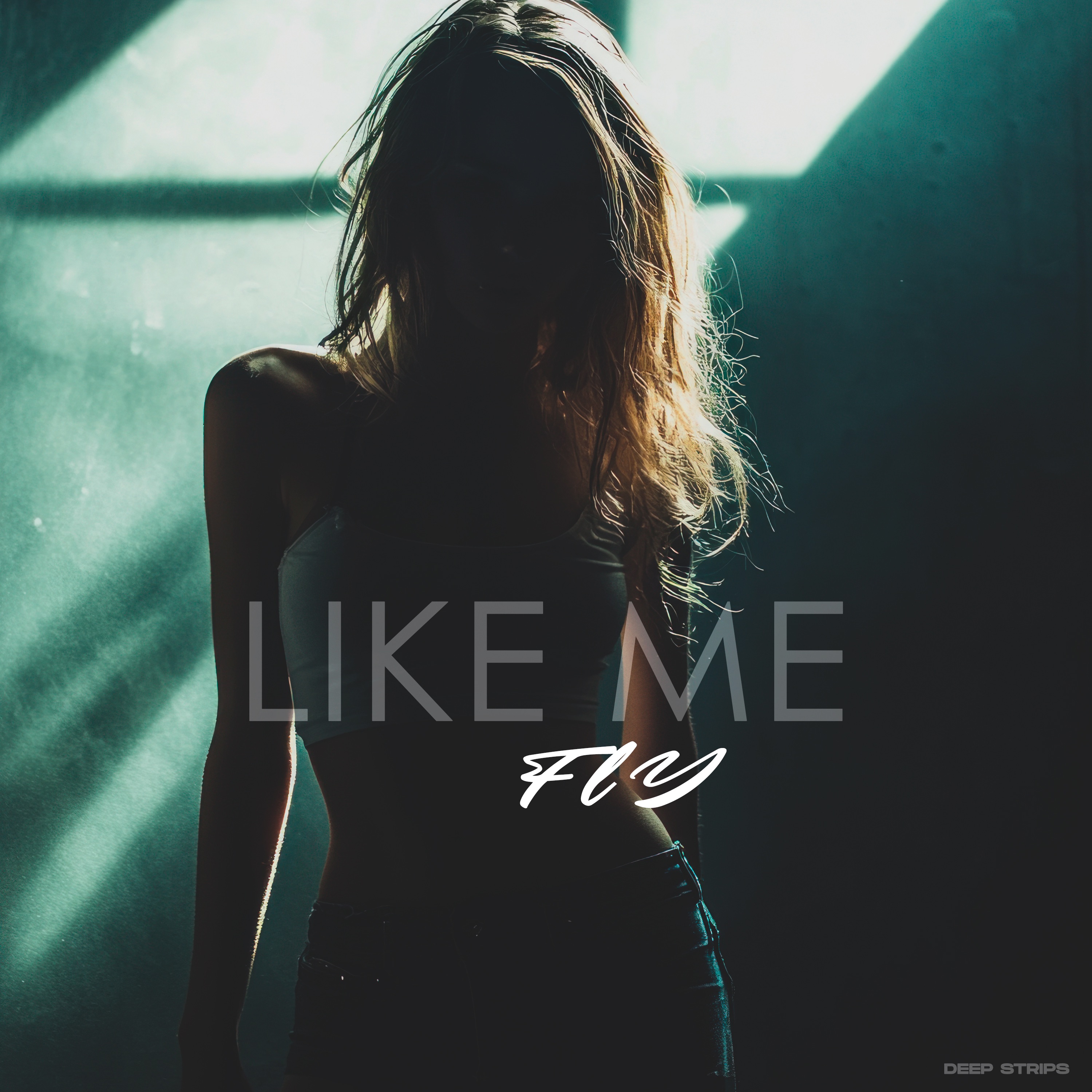 Fly - Like Me (Original Mix)