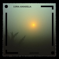 LUNA AMARILLA (feat. Caleb Arredondo) - Single - Qouinn