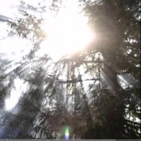 Raven On my heart - Single - xcross