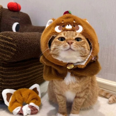 Lời Anh Chưa Thể Nói - Single