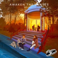 awaken the senses - kz1teryyy