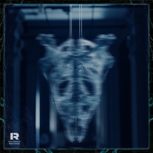 Bass Control - Single