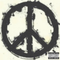 AIMING FOR PEACE (feat. Natrixx) - Single - ETXN