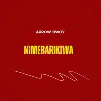 Nimebarikiwa — Arrow Bwoy