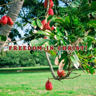 LIFE IS A BLESSING! (COMPLETE VERSION!) - Single