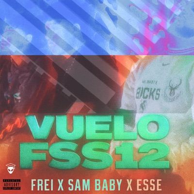 VUELO FSS12 - Single