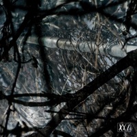 Dreaming Of Your Face (feat. DEADWINTER) - Single - Chrysalis