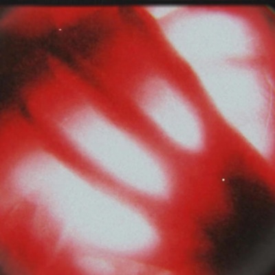 Es nekrāšu - Single