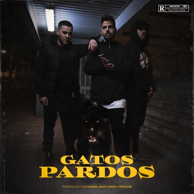 Gatos Pardos - Single
