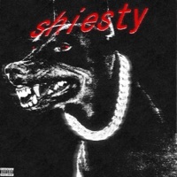 Shiesty - Single - jaiyash, Darcy & Raj Ratan