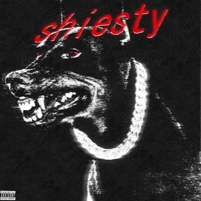 Shiesty - Single