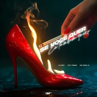 Se Você Quer Eu Também Quero - Single - DJ Ery, Vitu Único & MC Dom Lp