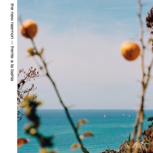 Frente A La Bahía - Single