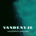 VANDENYJE