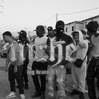 Niche (feat. Big Draco LV) - Single