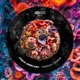 Fungus Album