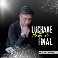LUCHARE HASTA EL FINAL
