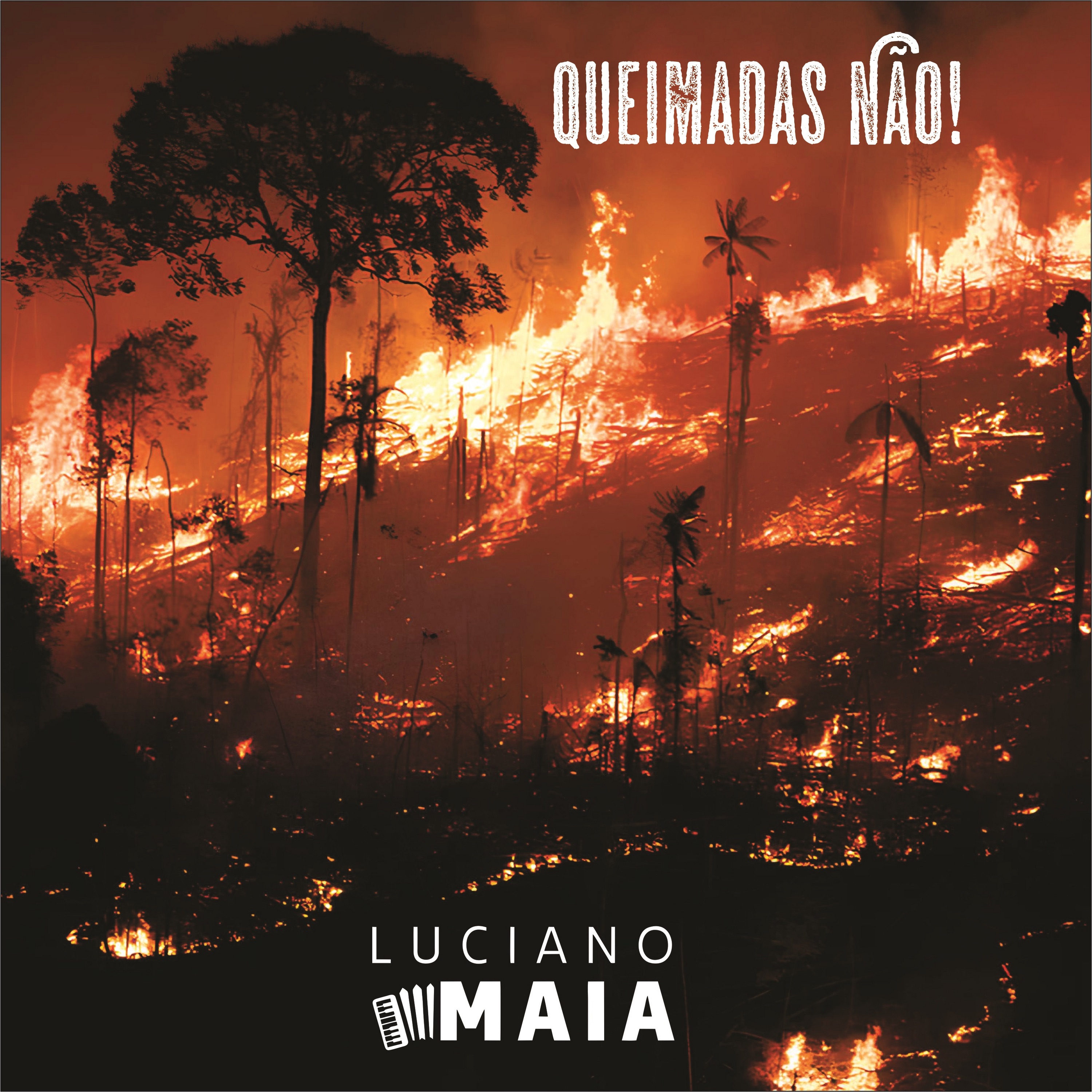 Queimadas não - Single