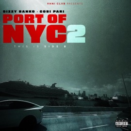 PLAYIN (feat. Rileyy Lanez & Sol Chyld) Dizzy Banko & Cosi Pari