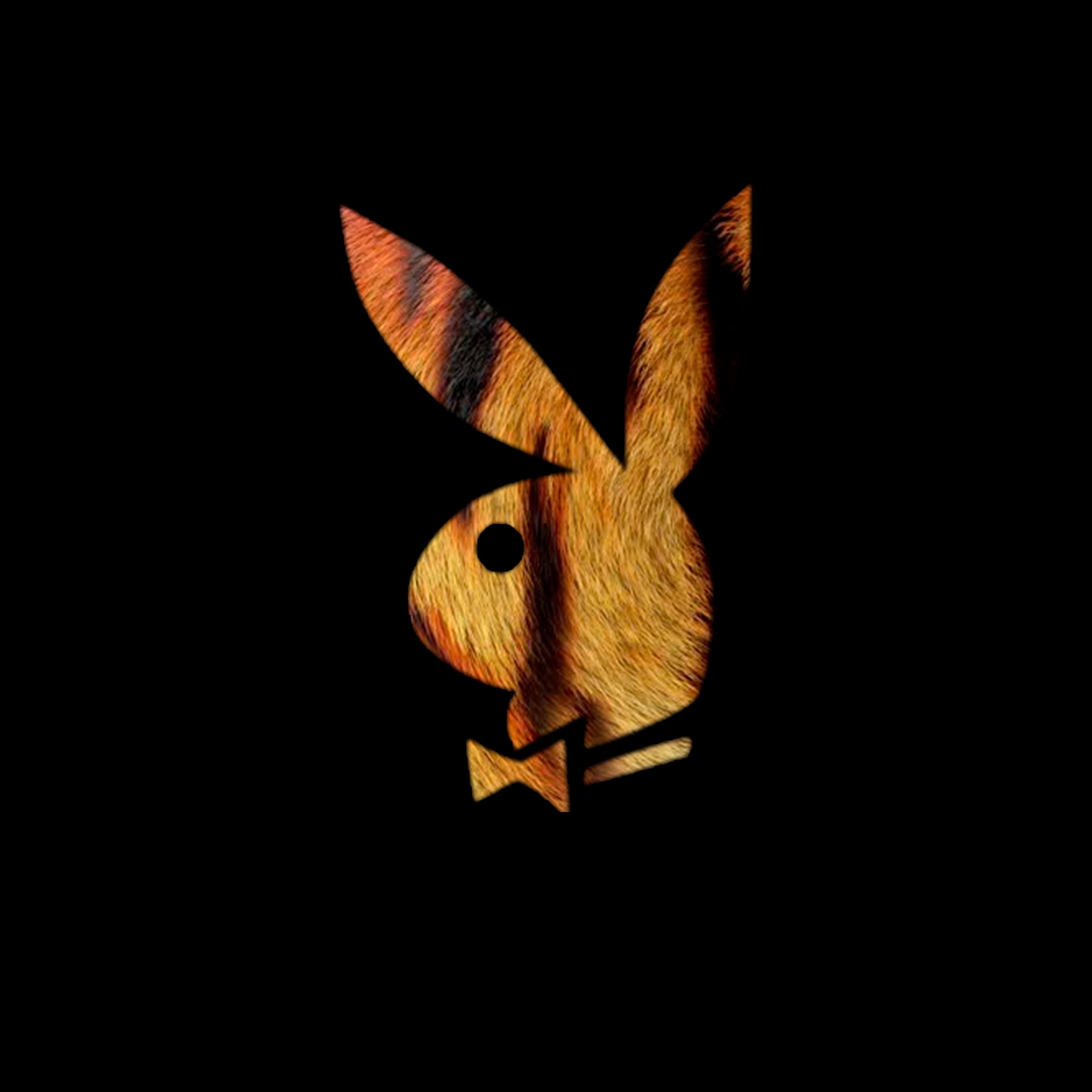tigretona - Single by dsm album cover