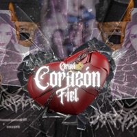 Corazón Fiel - Single - Qravi
