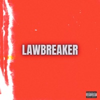 LAWBREAKER (feat. Kool G Rap, Prodigy, Method Man & Red Man) - Single - DJ Hansen