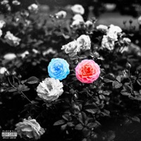 Smell The Roses - Single - Flaco Paco