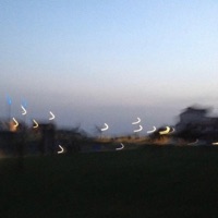 Coastless - Single - Maneï