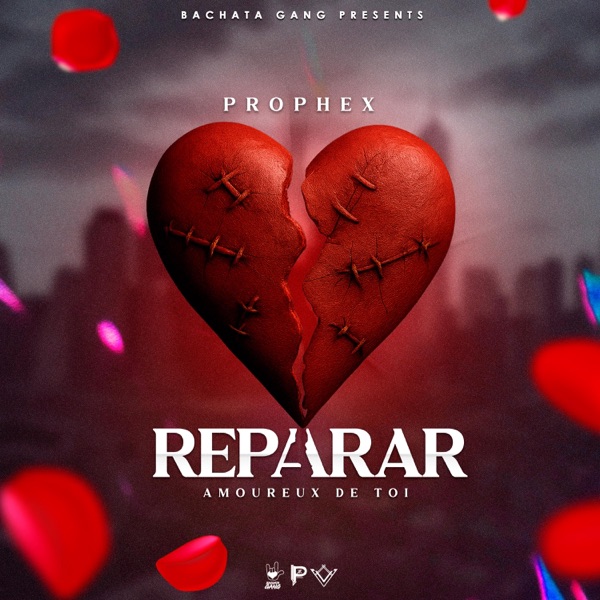 Reparar - Amoureux de toi