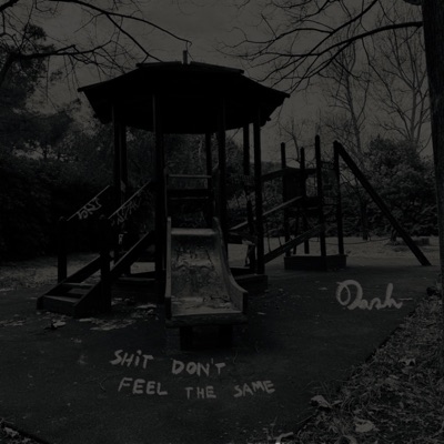 shit don't feel the same (og version) - Single