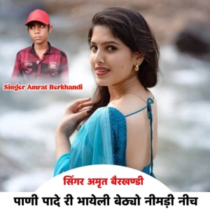 पाणी पादे री भायेली बेठयो निमड़ी नीच (feat. Harisingh Dholan, Vishnu Meena & Kajod Bhal)