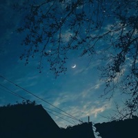 TURN (feat. KILLX NNE) - Single - Lion 444 Soumik Legend