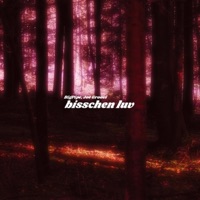 bisschen luv (feat. Joe Groovi) - Single - BigPipe